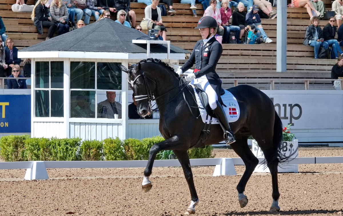 Danmark Vinder Nations Cuppen I Falsterbo Zibrasport 